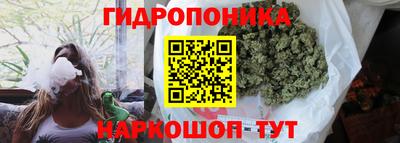 PSILOCYBIN Бугуруслан
