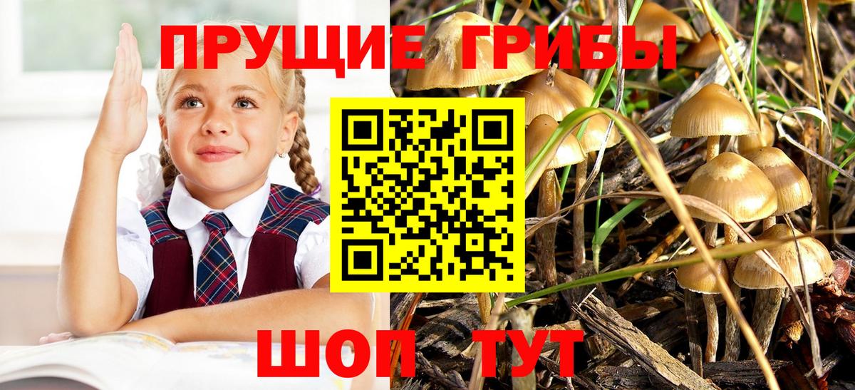 Псилоцибиновые грибы прущие грибы Нефтекумск